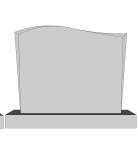 Model 1007